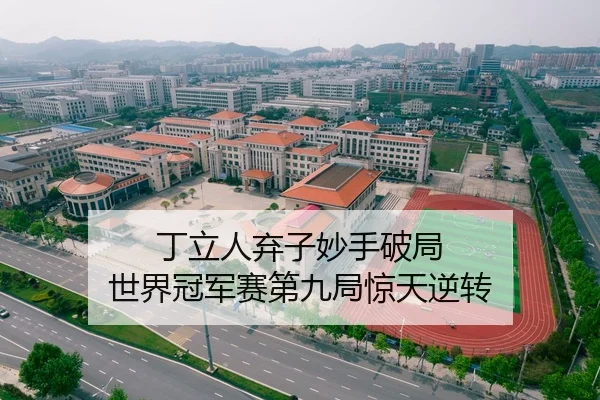 丁立人弃子妙手破局 世界冠军赛第九局惊天逆转