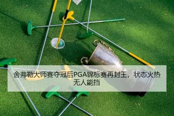 she-fu-lei-da-shi-sai-duo-guan-hou-jin-biao-sai-zai-feng-wang-zhuang-tai-huo-re-wu-ren-neng-dang-2-394.jpg