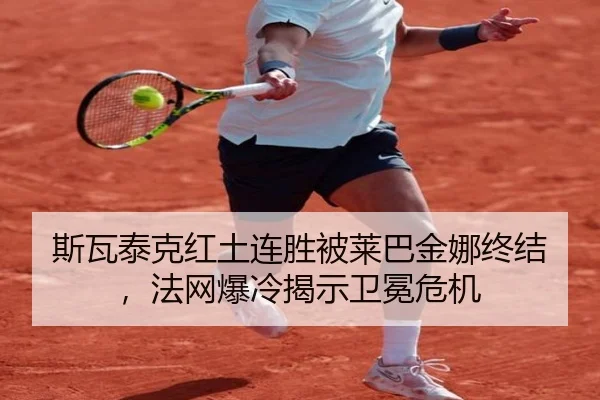 si-wa-tai-ke-hong-tu-lian-sheng-bei-lai-ba-jin-na-zhong-jie-fa-wang-bao-leng-jie-shi-wei-mian-wei-ji-2-294.jpg